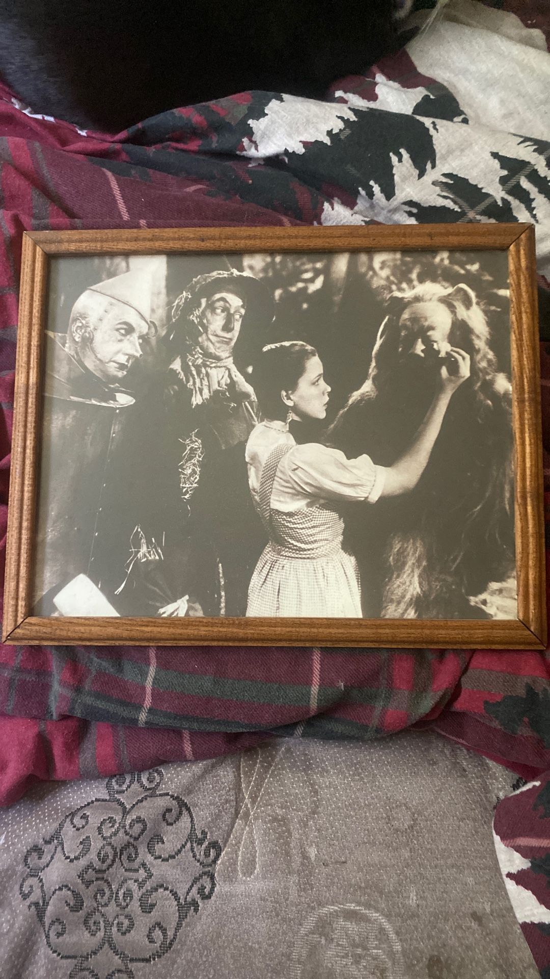 Wizard Of Oz Photo And Frame