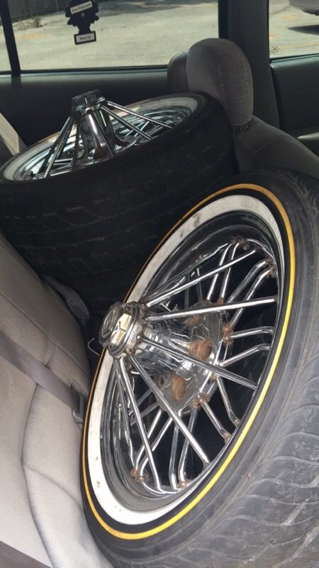 17in swangas