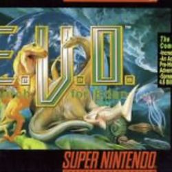 E.V.O , Final Fantasy II, Metal Warriors,Sunset Riders please read