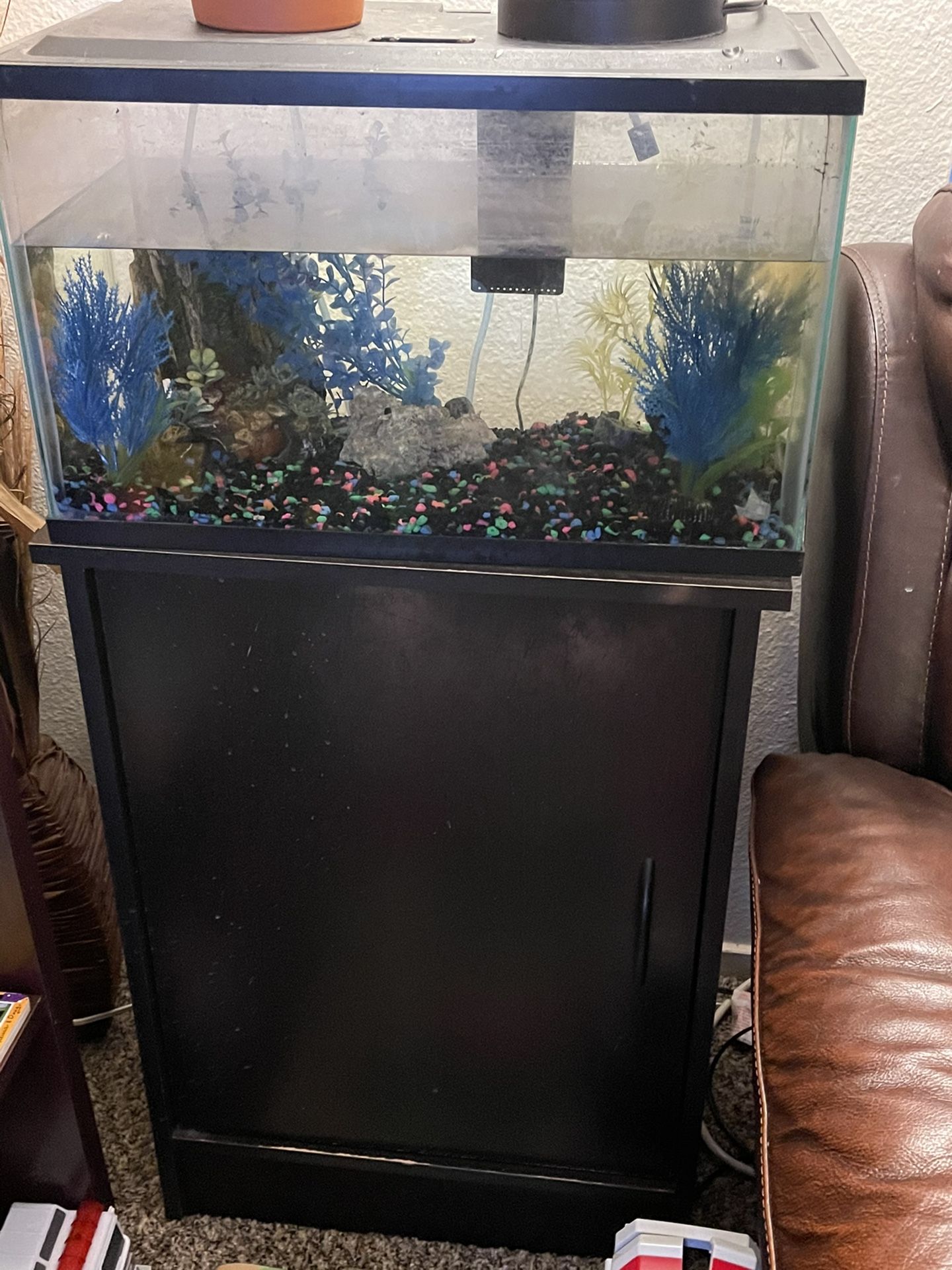 Fish Tank Setup