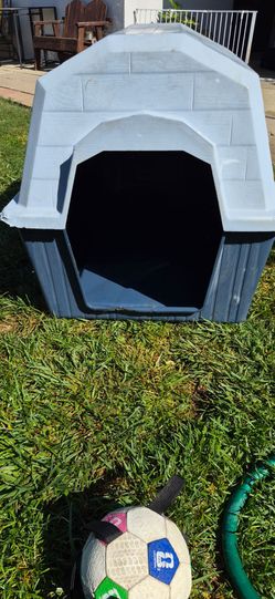 Dog house