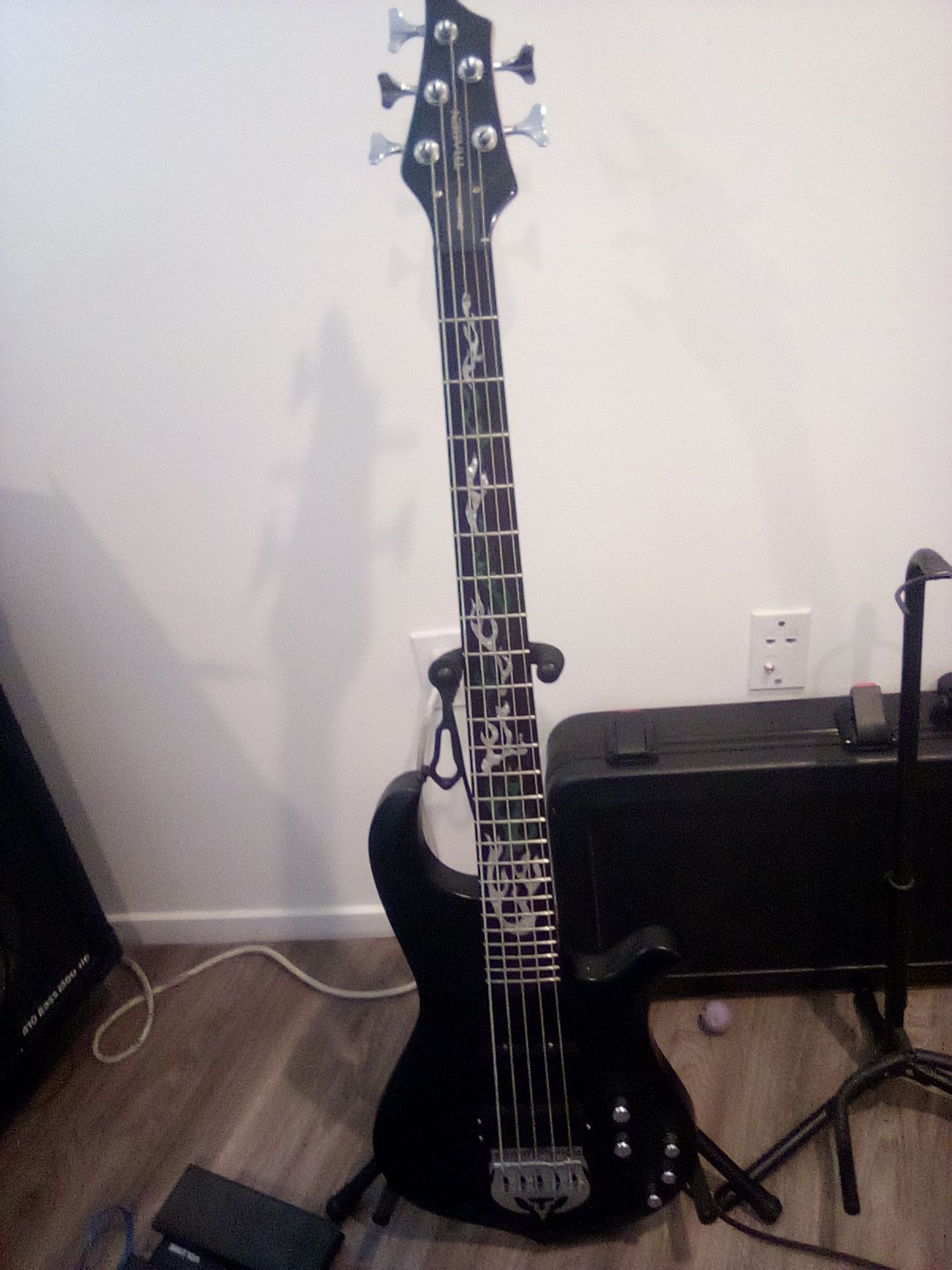 Traben Phoenix 5 string