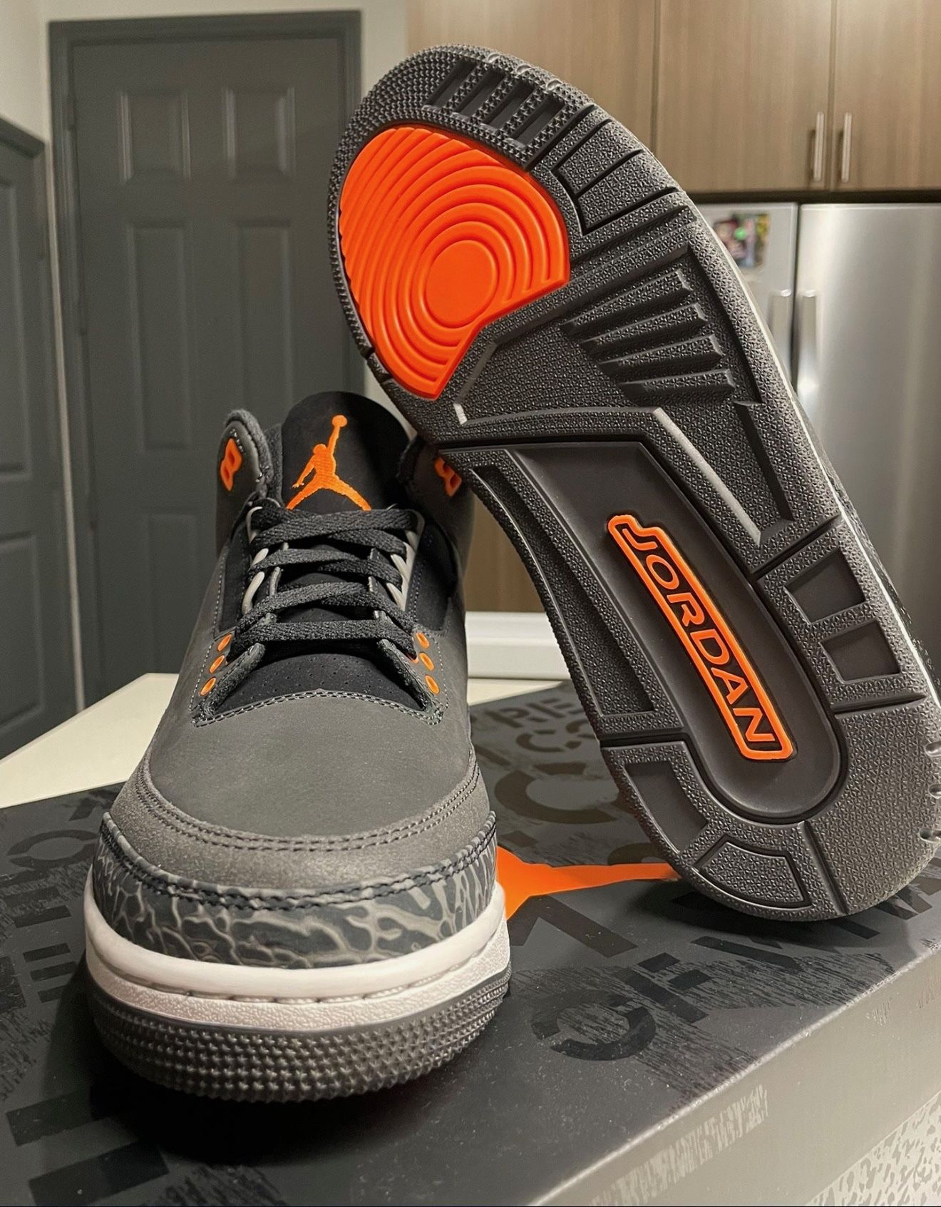(Brand New/DS) Jordan 3 Fear // Size 11.5