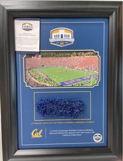 UC Berkeley Memorial Stadium Commemorative Plaque