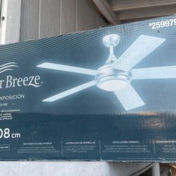 Ceiling Fans