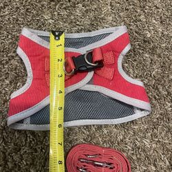 Medium Harness And Leash