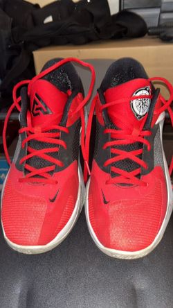 Giannis Zoom Freak Size 10.5