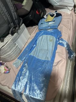 Bluey Costume
