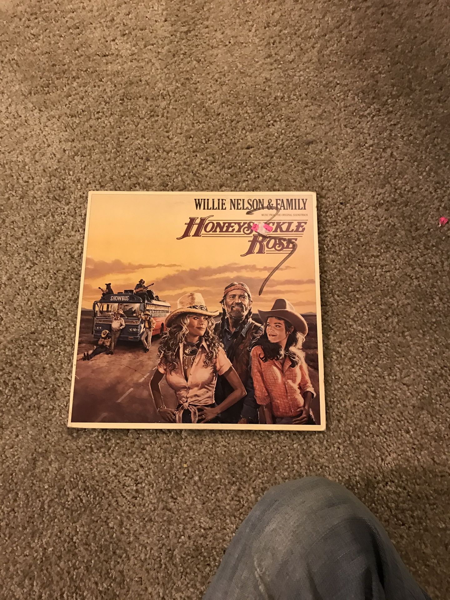 Willie Nelson and family vinyl