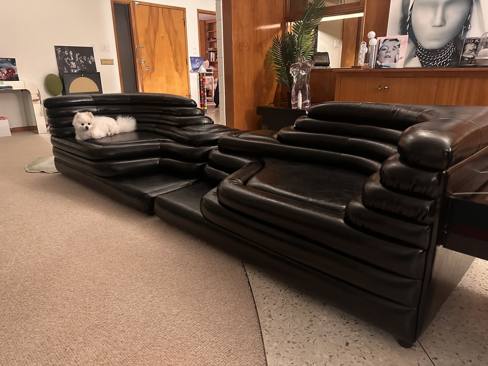 Black Leather Couch