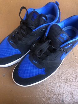 SB Dunks