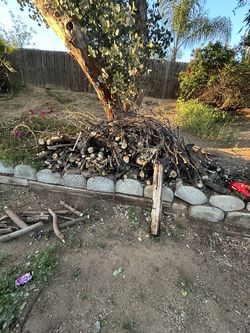 Free Fire wood