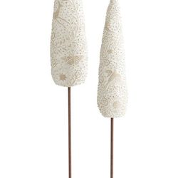 Willow Tree Cypress Trees, Rooted in The Earth, Reaching Toward The Sky 27598