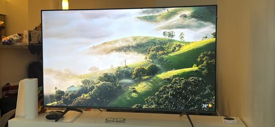TCL 55 inch TV (Moving Sale!)
