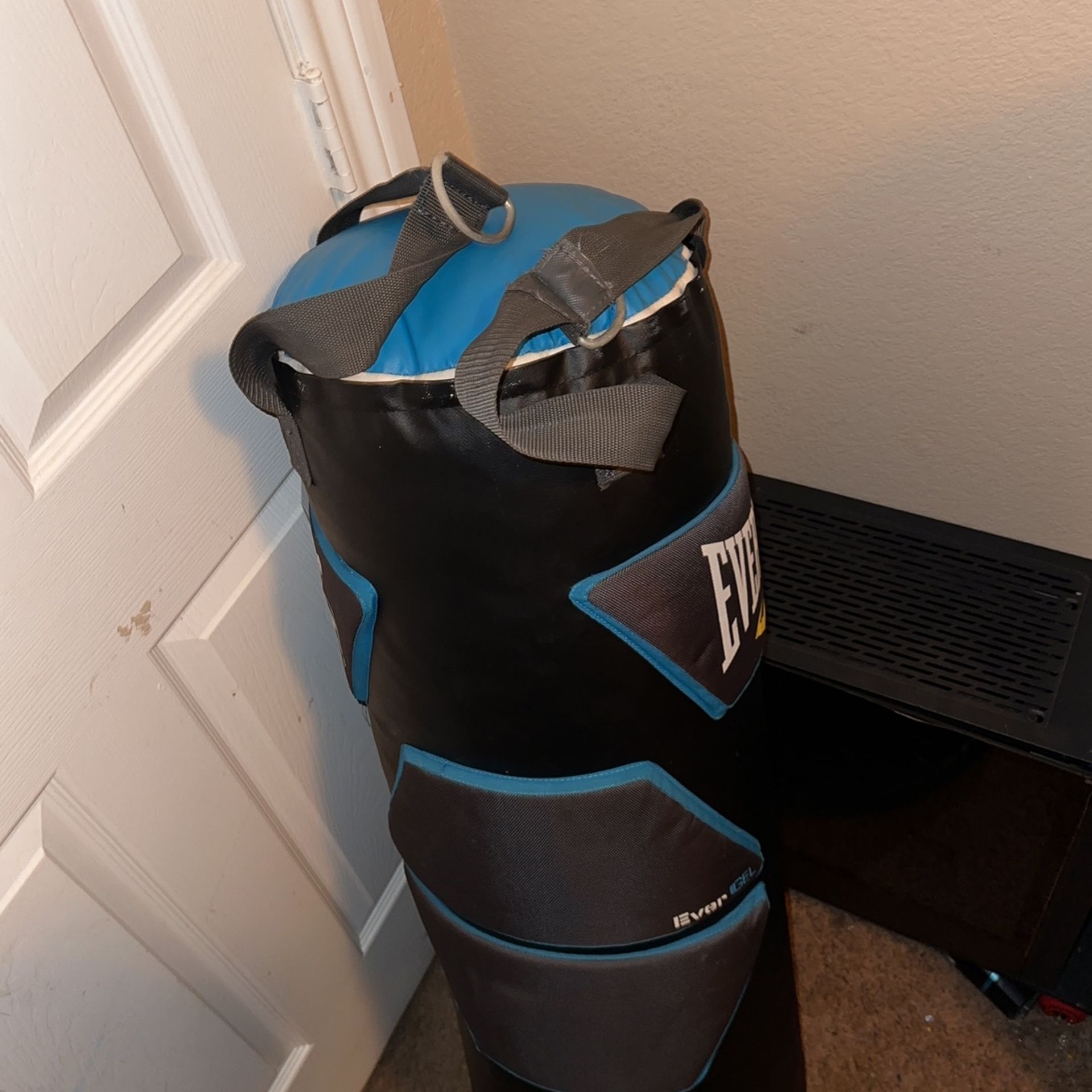Everlast punching bag