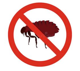 Flea prevention