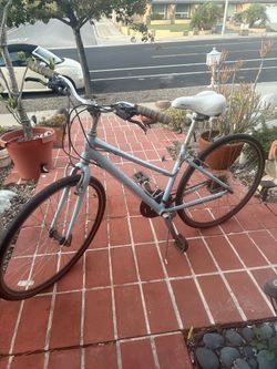 Vintage Blanche Beach Cruzer