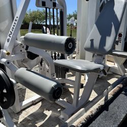 Nautilus Seated Leg Curl 