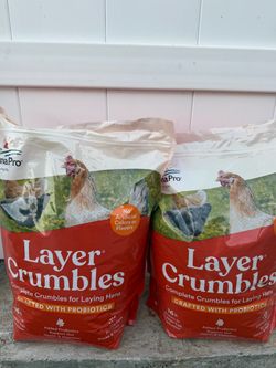 Hen food and songbird
