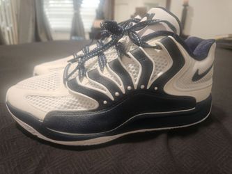 Nike Low-Top Sneakers White and Navy