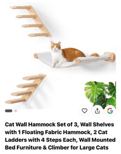 Cat Hammock And Stairs
