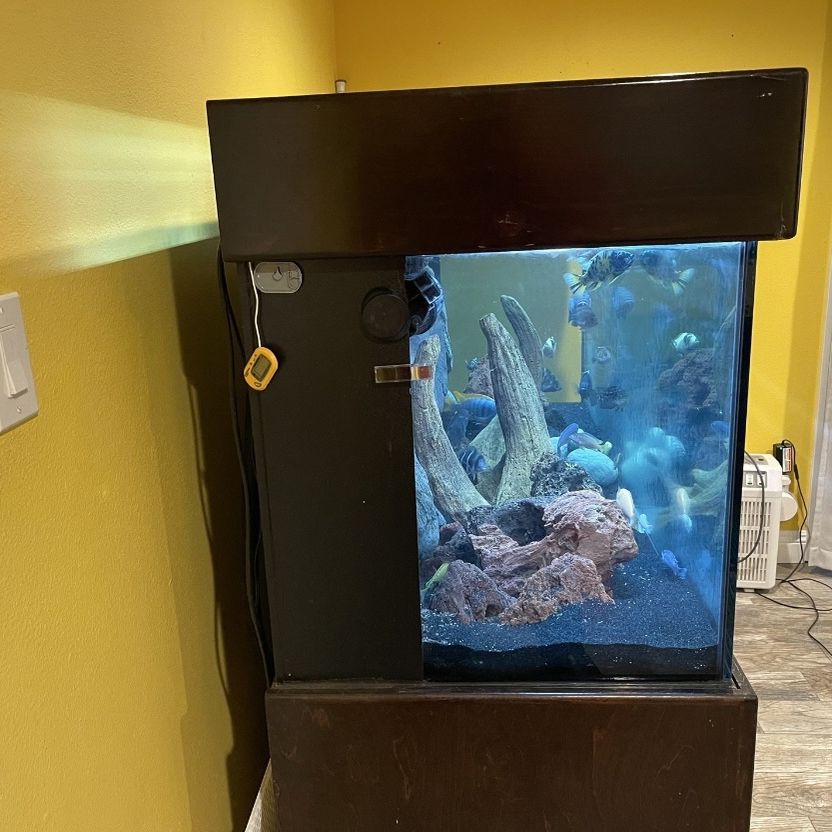 180 Gallon Aquarium (NO FISH FOR SALE.  PLZ DON’T ASK)