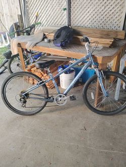 26" specialized expedition bike
