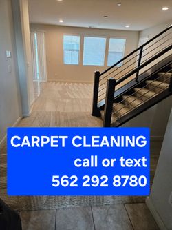 Steam carpet cleaning care
