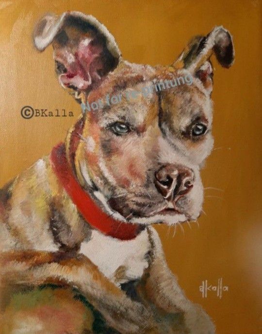 PITTIE Lover Art Original Oil Painting Of A Pittbull Terrier Pitbull Dog Dogs Pet Pets