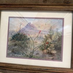 Ocotillo 12 By 16w/cover Octilliv Signed By Artist 
