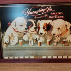 Yuengling Beer Art