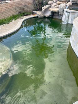 Green swimming pool alberca verde picinas