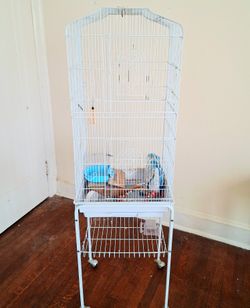 White Bird Cage w/ Stand, Toys, & Kaytee Parakeet Food