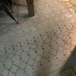 Área Rugs