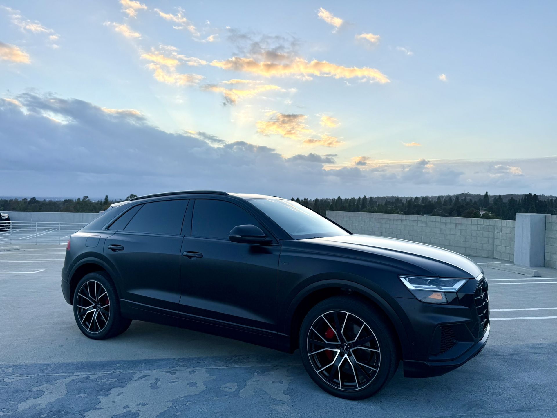 2019 Audi Q8