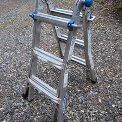 Werner MT-13 300-Pound 13 Foot Telescoping Ladder