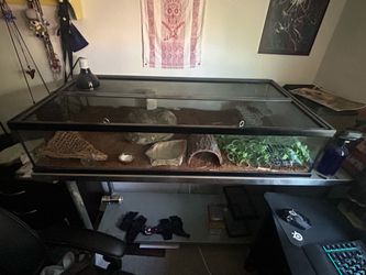 Zoomed low frag Double-screen-top Terrarium (48”X24”X10”) and Metal Table (55”X24”X32”)