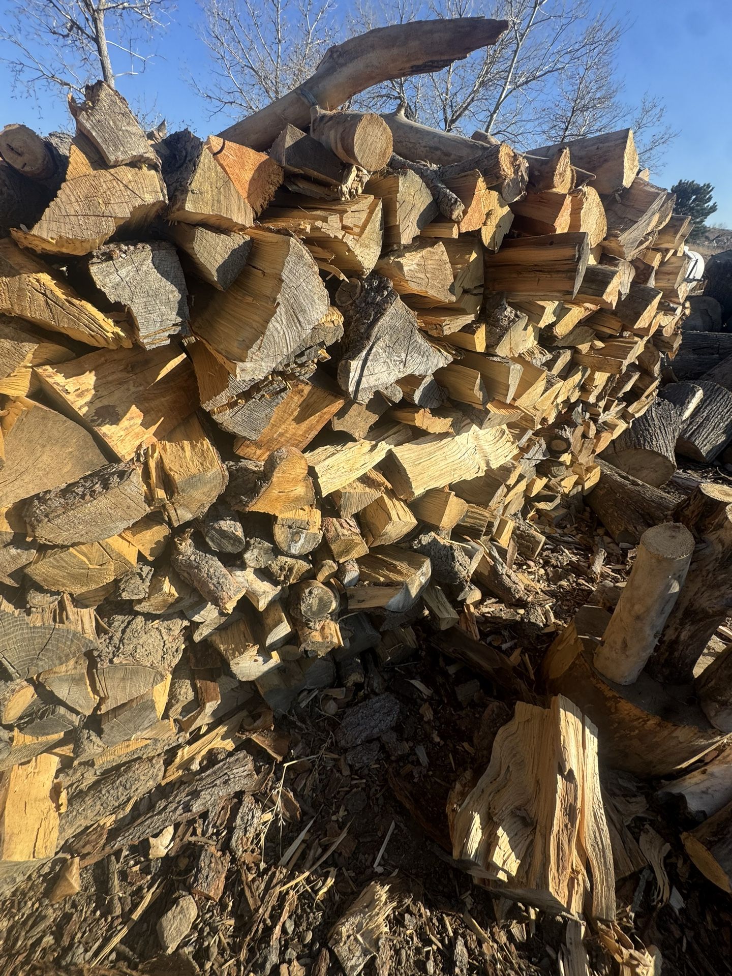 Seasoned Fire Wood For Sale