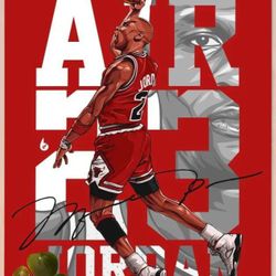 Air 23 Ascension Jordan The Legend In Flight Wall Tapestry 16"x 24"