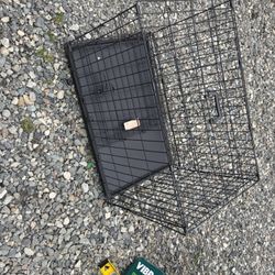 I Crate  Dog Kennel
