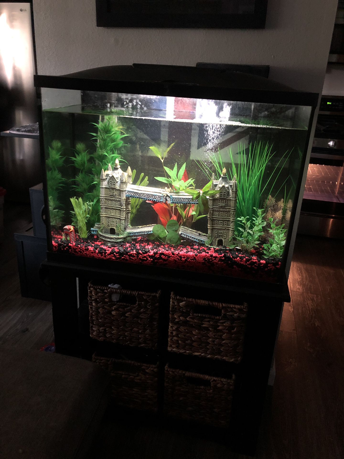 Fish tank and stand 39 gallon