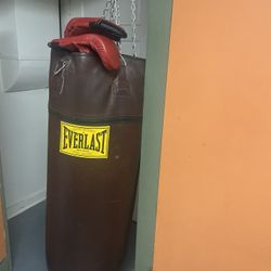 Punching Bag and Boxing Gloves