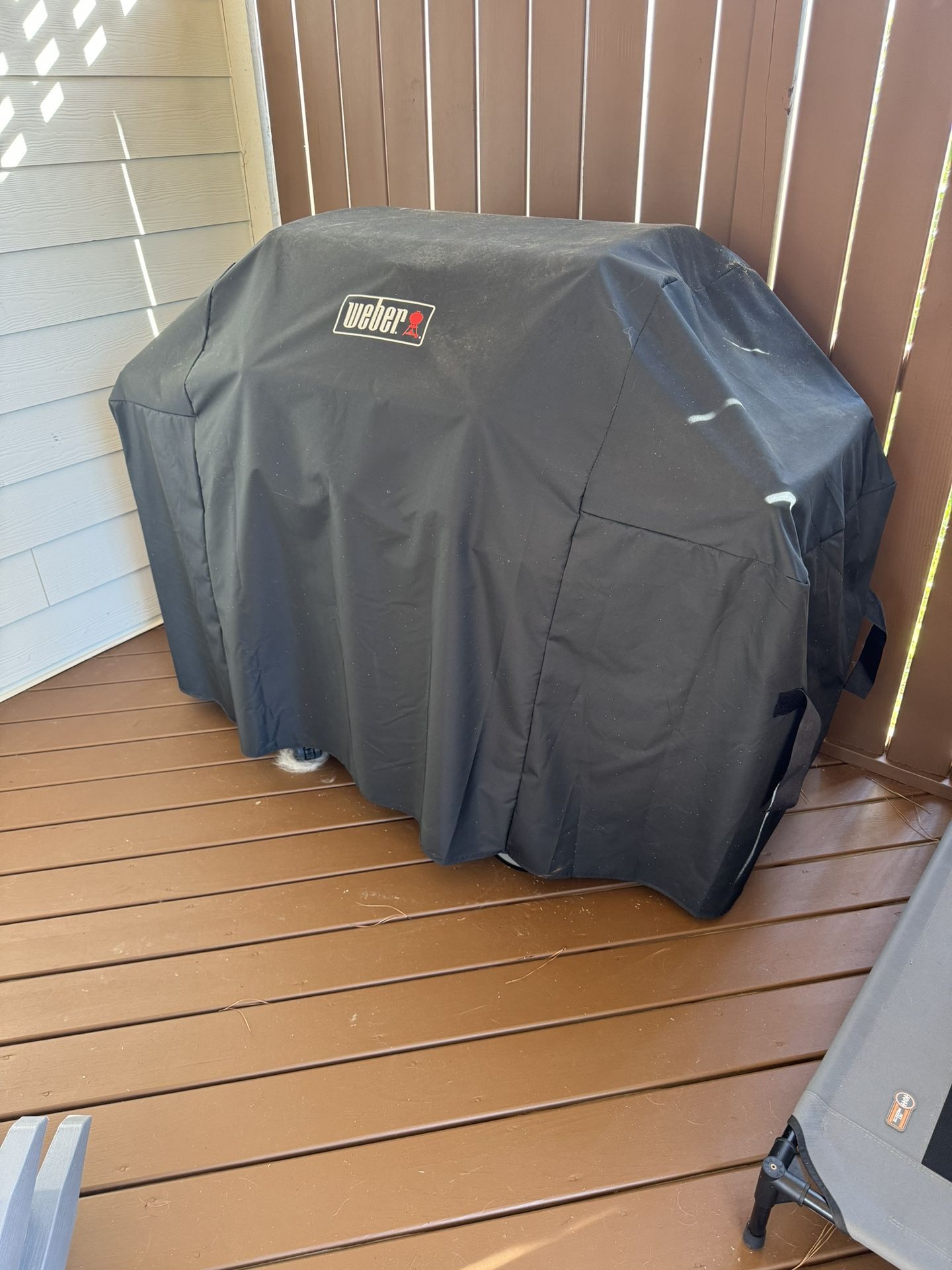 Weber Genesis II Grill