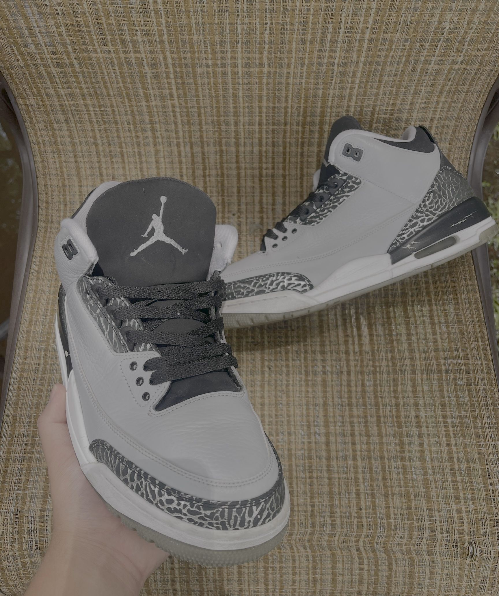 Jordan 3s 