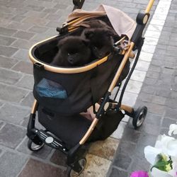 Pet Stroller  For  Small Animals  And Small Dogs