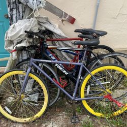 Bikes DELRAY BEACH  $200 Each