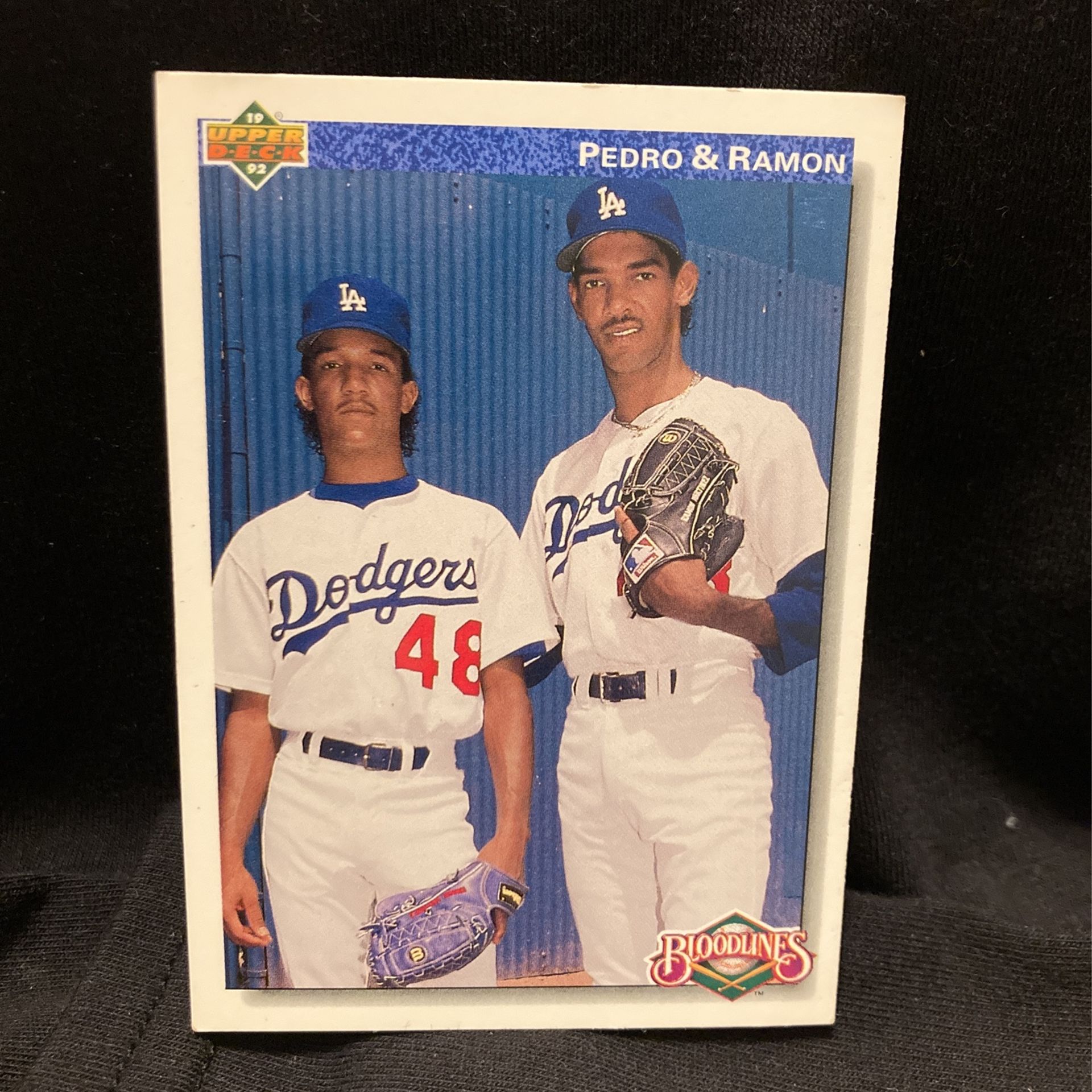 Pedro & Ramon Baseball Card