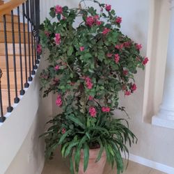 Large Bougainvillea Silk Plant