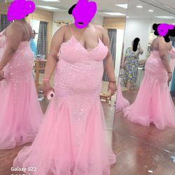 Pink Plus Size Prom Dress