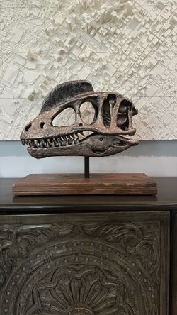 Custom-built life-size Dilophosaurus skull display with a hand-finished bronze appearance. The skull was printed in multiple pieces, assembled, textur